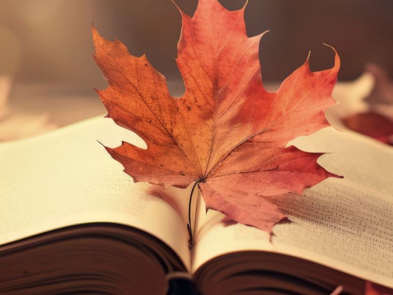 Settembre, stagione di ripresa: 5 libri per ripartire con&nbsp;grinta